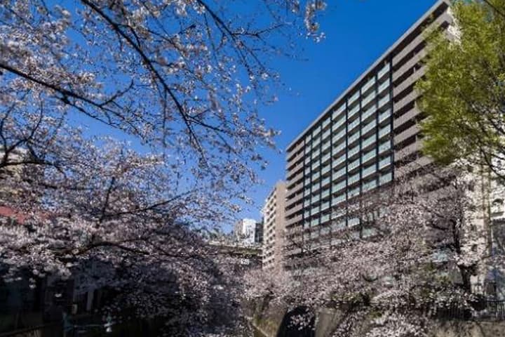 「イニシア板橋 桜レジデンス」外観：竣工 2021年3月（販売済）