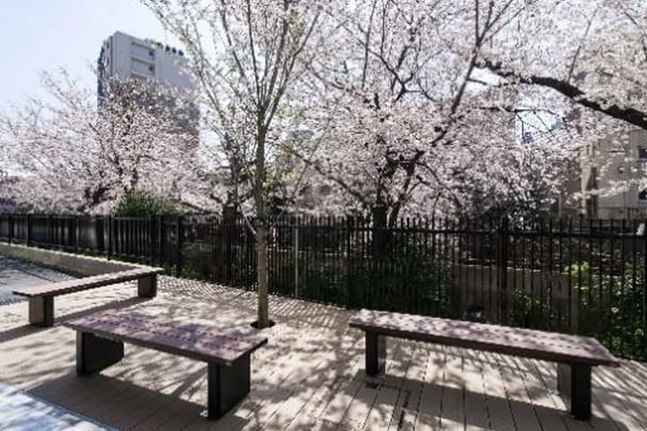 石神井川沿いの桜並木を臨むお花見テラス