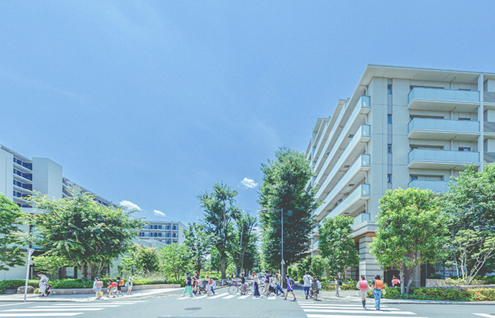 「ひばりが丘フィールズけやき通り前の交差点」（2024年6月撮影）