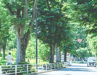 「ひばりが丘エリアマネジメント街区内」（2024年6月撮影）