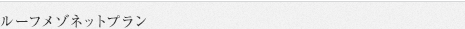 ルーフメゾネットプラン