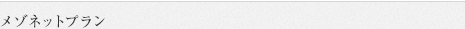 メゾネットプラン