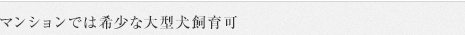 マンションでは希少な大型犬飼育可