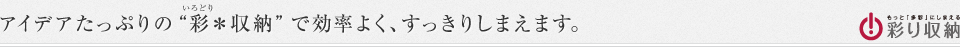 アイデアたっぷりの“彩＊収納”で効率よく、すっきりしまえます。※ザ・ロアハウス代々木初台の仕様とは異なります。