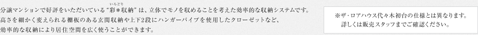 分譲マンションで好評をいただいている“彩＊収納”は、立体でモノを収めることを考えた効率的な収納システムです。高さを細かく変えられる棚板のある玄関収納や上下2段にハンガーパイプを使用したクローゼットなど、効率的な収納により居住空間を広く使うことができます。