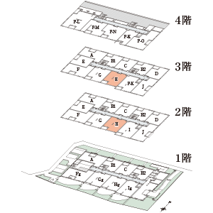 H type フロア概念図
