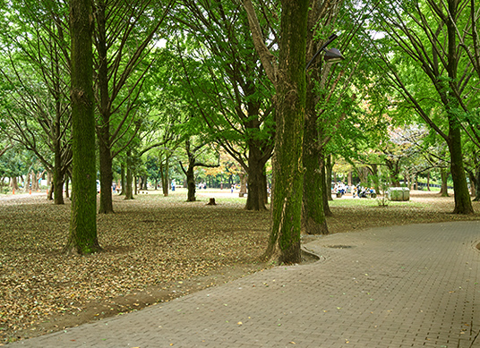蘆花恒春園(約1,890m／徒歩24分)