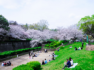 祖師谷公園 写真