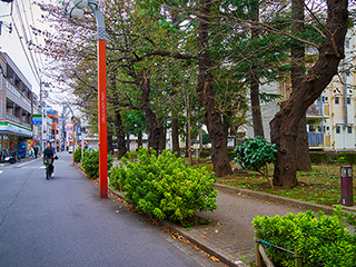 ふれあい遊歩道 写真