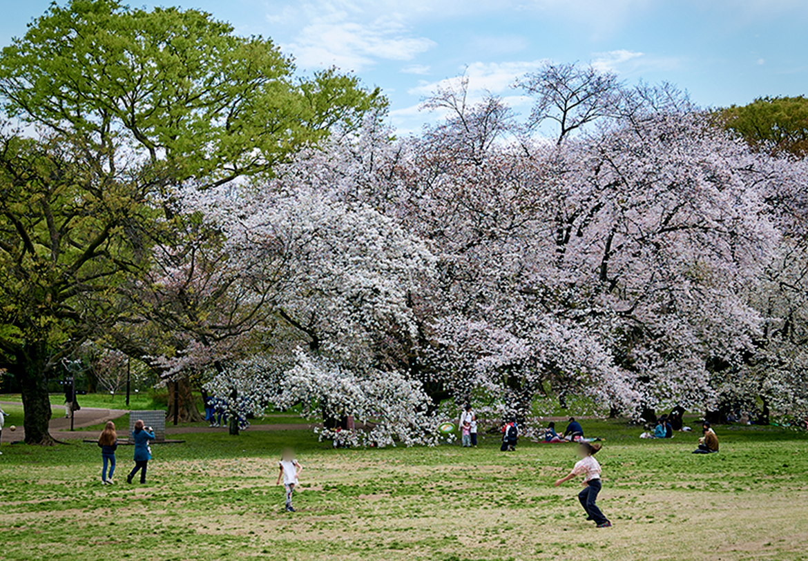 砧公園(約2,040m／徒歩26分)
