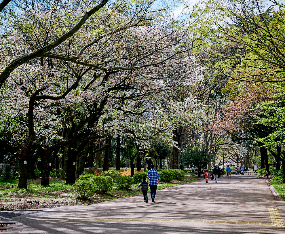 砧公園(約2,040m／徒歩26分)