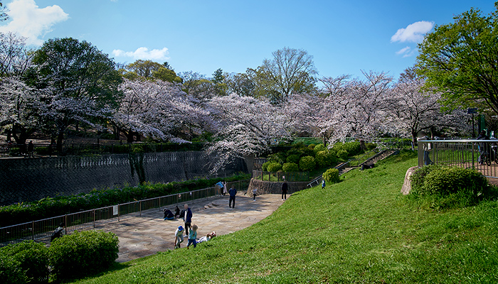 祖師谷公園(約1,270m／徒歩16分)