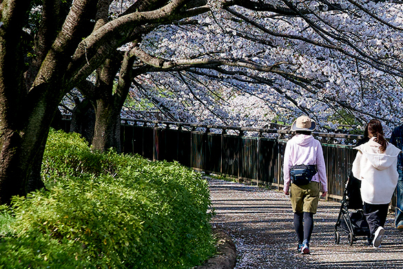 祖師谷公園（約1,270m／徒歩16分）
