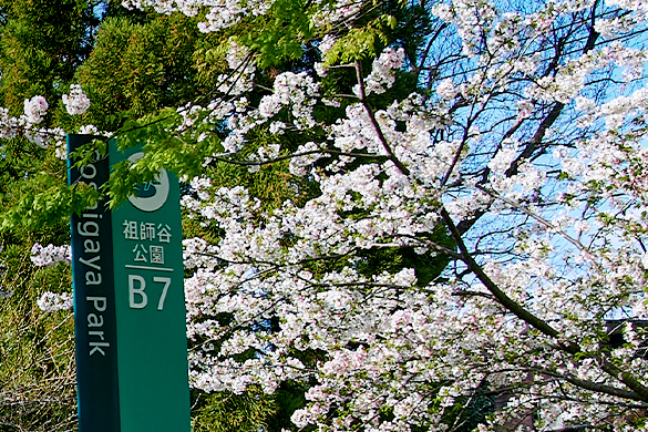 祖師谷公園（約1,270m／徒歩16分）