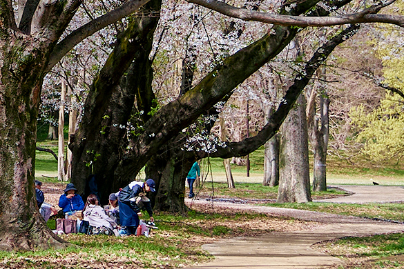 砧公園（約2,040m／徒歩26分）