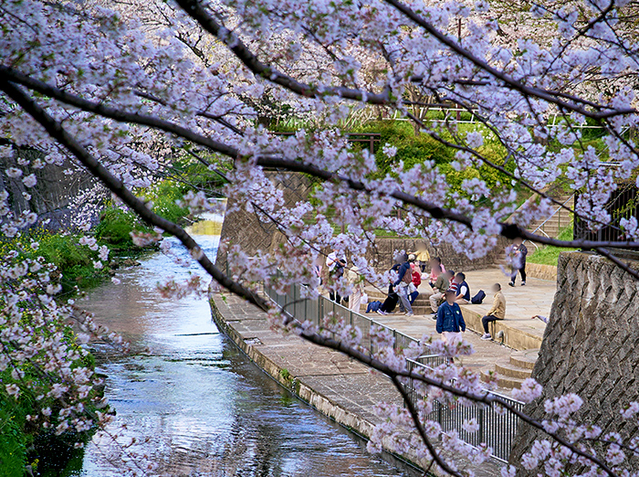 祖師谷公園(約1,270m／徒歩16分)