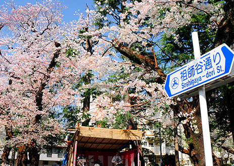 ふれあい遊歩道 (約300m／徒歩4分) 撮影写真
