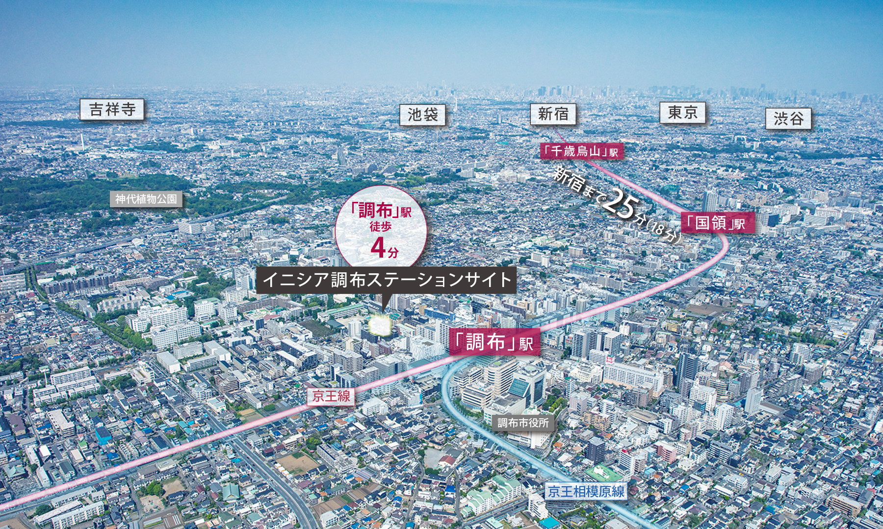 航空写真（2024年4月撮影）