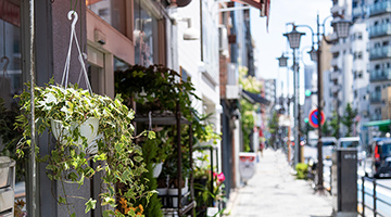 まちやアベニュー（約50m・徒歩1分）