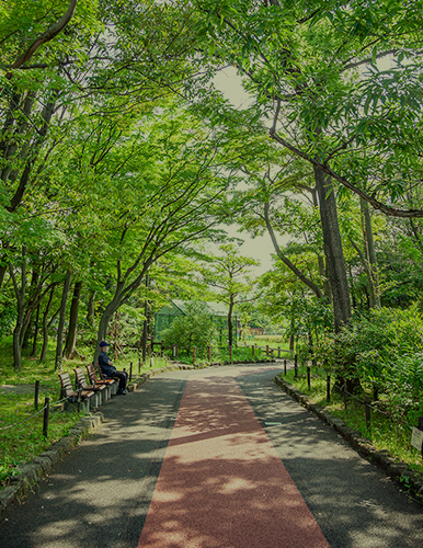 荒川自然公園（約490m・徒歩7分）