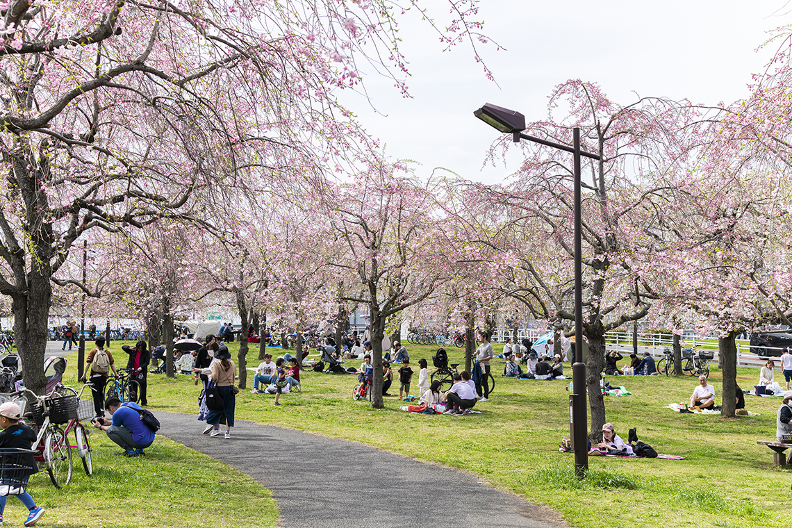 都立尾久の原公園（約920m・徒歩12分）