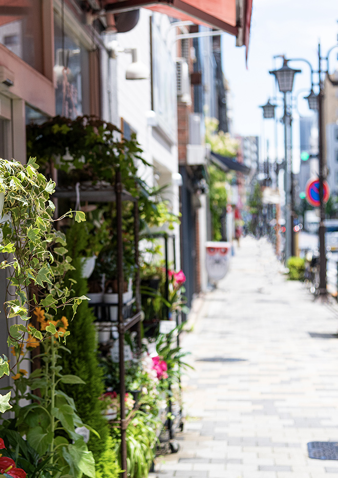 まちやアベニュー（約50m・徒歩1分）