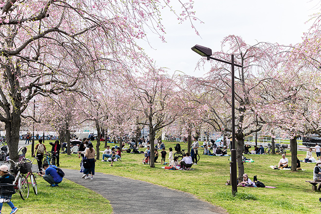 都立尾久の原公園（約920m・徒歩12分）