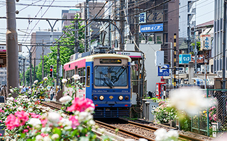 都電荒川線（約220m・徒歩3分）