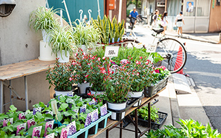 現地周辺の街並み（約30m・徒歩1分）