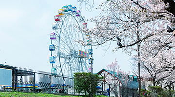 あらかわ遊園（約890m・徒歩12分）