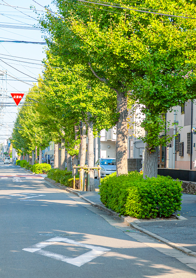 現地周辺 （徒歩1分/約5m）