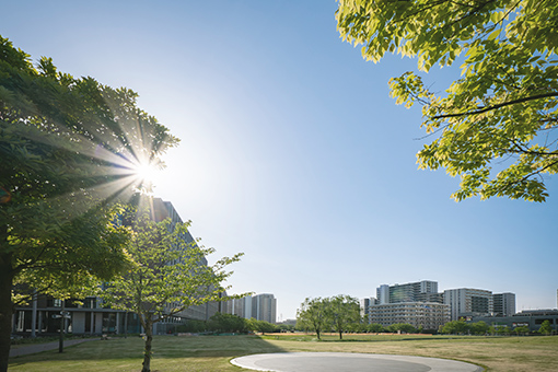 葛飾にいじゅくみらい公園