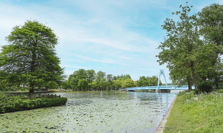 水元公園（約1,360m・徒歩17分）