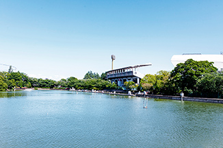 等々力緑地（約430m／徒歩6分）