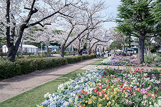 等々力緑地（約430m／徒歩6分）