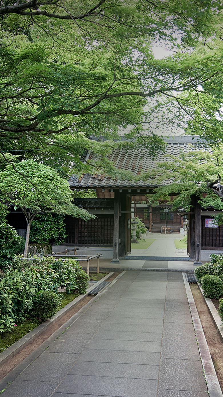 龍宿山金剛院西明寺（約220m／徒歩3分）