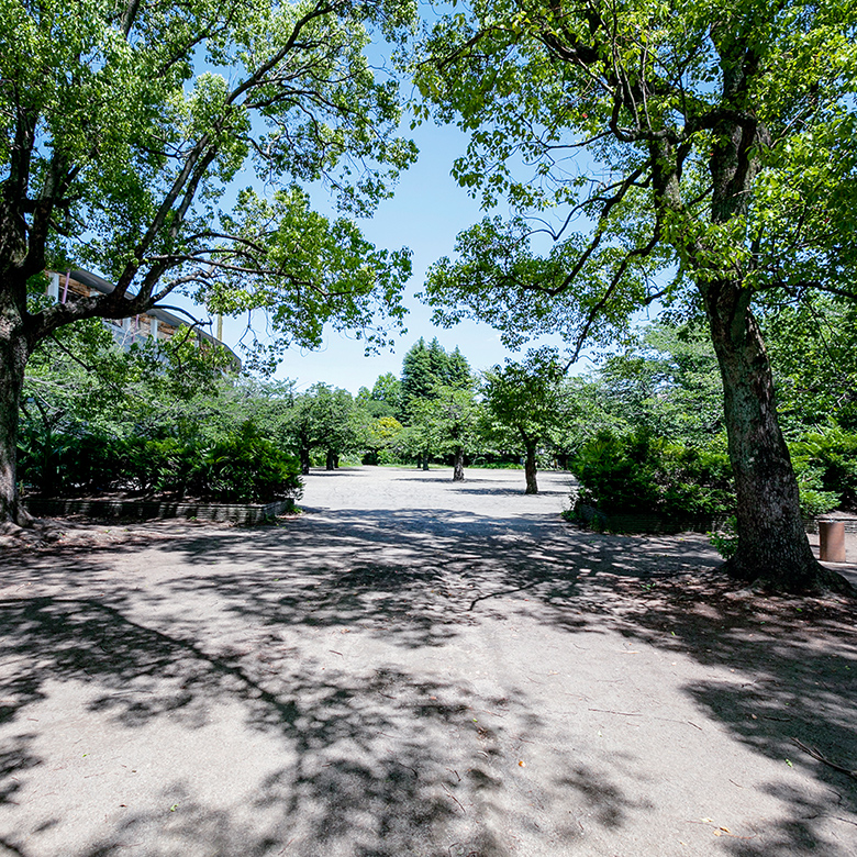 等々力緑地（約430m／徒歩6分）