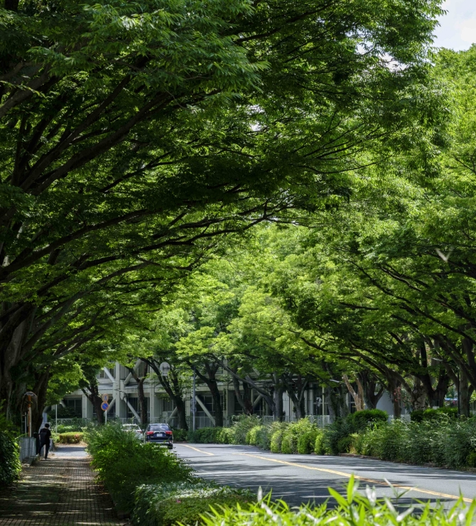 ブリヂストン通り（約10m・徒歩1分）