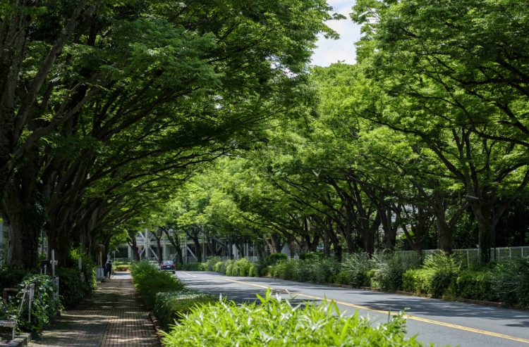 ブリヂストン通り（約10m・徒歩1分）