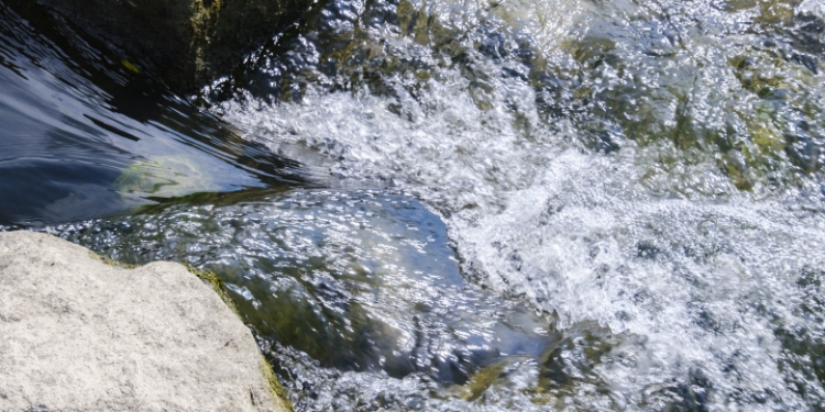 筑後川（約480m・徒歩6分）