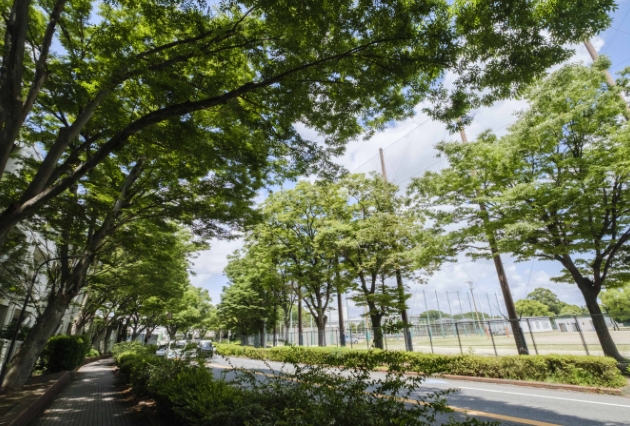 ブリヂストン通り（約10m・徒歩1分）