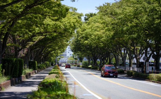 ブリヂストン通り（約10m・徒歩1分）