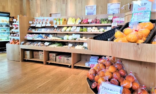 ハレノクダモノ（約240m）