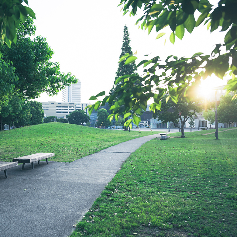 大分いこいの道（約390m・徒歩5分）
