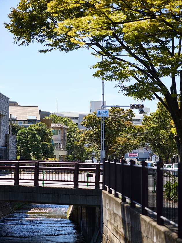 現地周辺（現地より約380m）