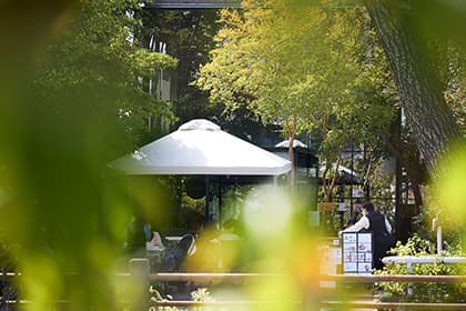 芦屋川周辺（現地より約1,110m）