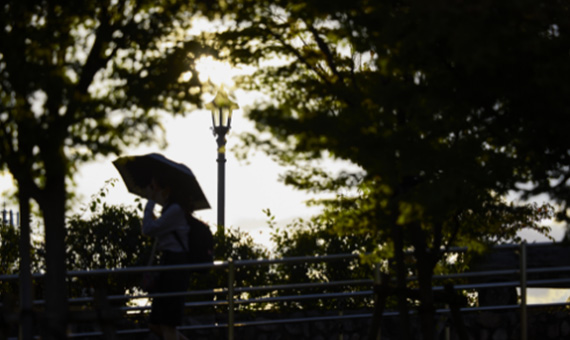 芦屋川周辺（現地より約1,110m）