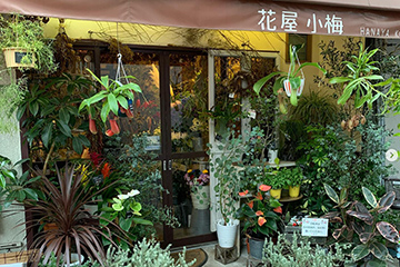 花屋小梅