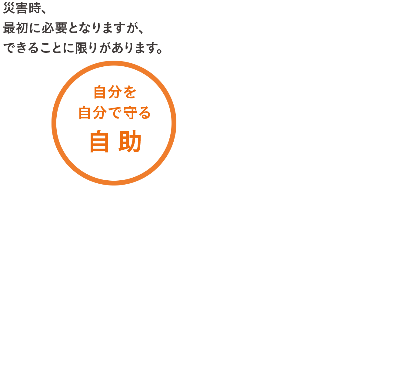 図表:自分を自分で守る自助