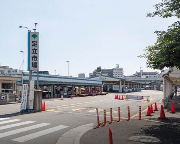 中央卸売市場 足立市場（B約60ｍ・徒歩1分）